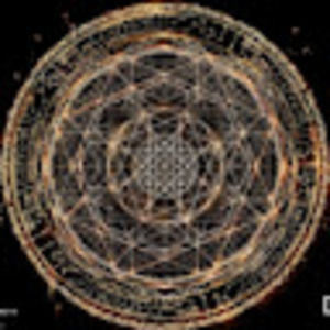 Meet your Posher, Adrienne